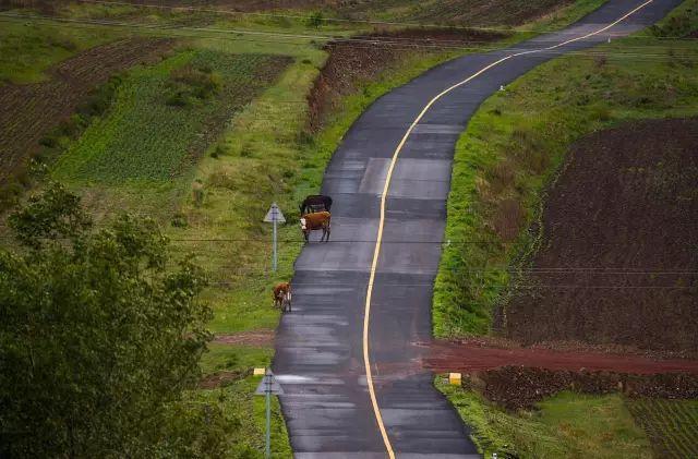 封闭半年，河北草原天路再次开放，再过10天，最美季节即将到来