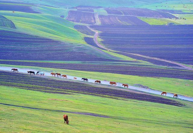 封闭半年，河北草原天路再次开放，再过10天，最美季节即将到来