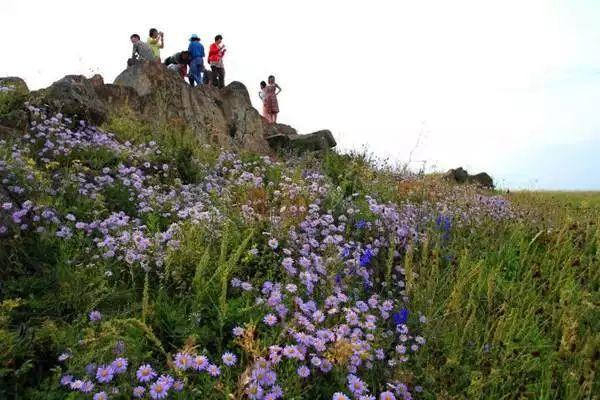 封闭半年，河北草原天路再次开放，再过10天，最美季节即将到来