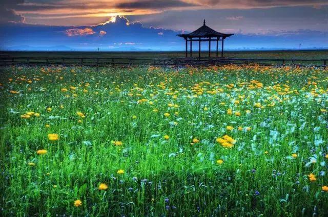 封闭半年，河北草原天路再次开放，再过10天，最美季节即将到来