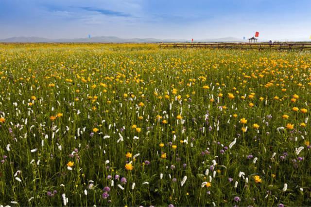封闭半年，河北草原天路再次开放，再过10天，最美季节即将到来
