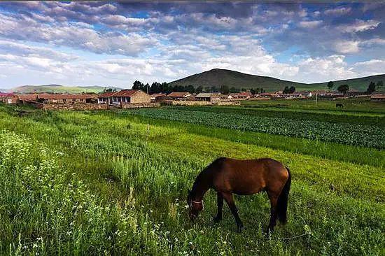 封闭半年，河北草原天路再次开放，再过10天，最美季节即将到来