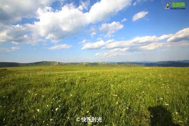 封闭半年，河北草原天路再次开放，再过10天，最美季节即将到来