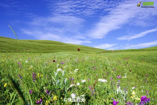 封闭半年，河北草原天路再次开放，再过10天，最美季节即将到来