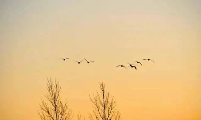 关系再好，也不要去帮忙的三件事，帮了感情就没了