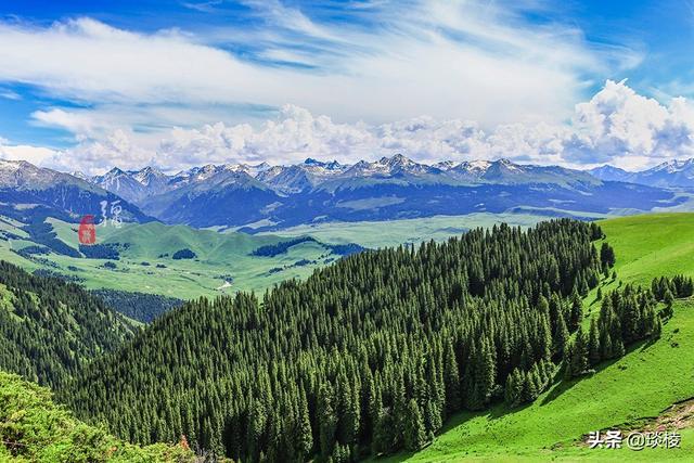 新疆有个最性感的“立体草原”，竟然比内蒙的草原还要美