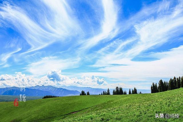 新疆有个最性感的“立体草原”，竟然比内蒙的草原还要美