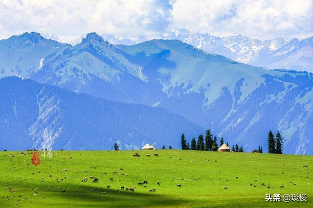 新疆有个最性感的“立体草原”，竟然比内蒙的草原还要美