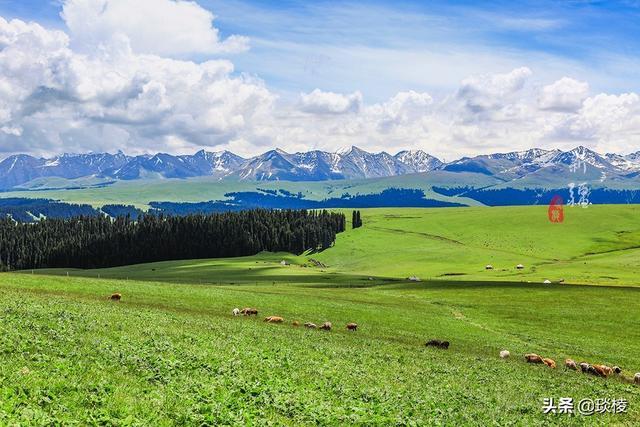 新疆有个最性感的“立体草原”，竟然比内蒙的草原还要美