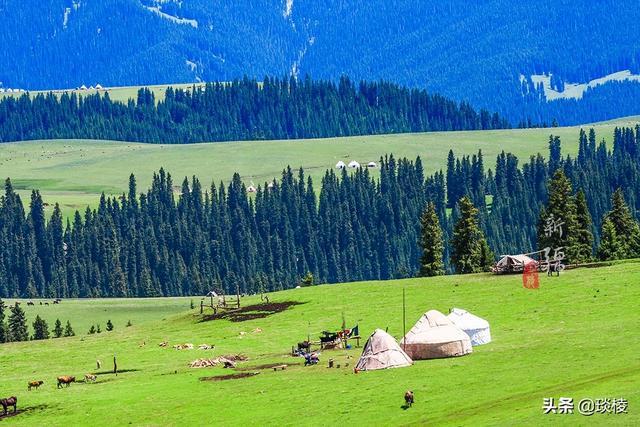 新疆有个最性感的“立体草原”，竟然比内蒙的草原还要美