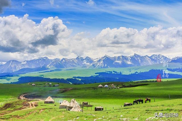 新疆有个最性感的“立体草原”，竟然比内蒙的草原还要美