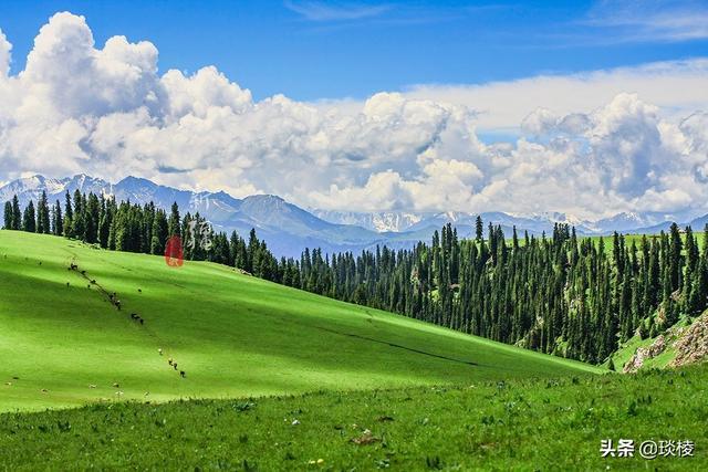 新疆有个最性感的“立体草原”，竟然比内蒙的草原还要美