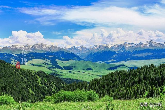 新疆有个最性感的“立体草原”，竟然比内蒙的草原还要美