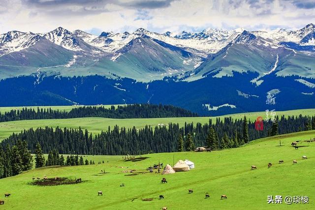 新疆有个最性感的“立体草原”，竟然比内蒙的草原还要美