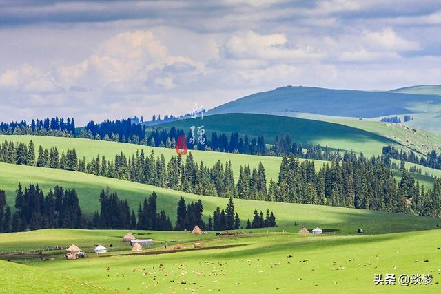 新疆有个最性感的“立体草原”，竟然比内蒙的草原还要美