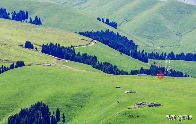 新疆有个最性感的“立体草原”，竟然比内蒙的草原还要美