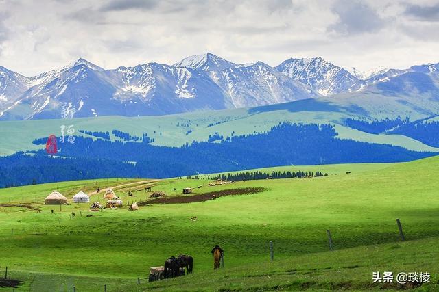 新疆有个最性感的“立体草原”，竟然比内蒙的草原还要美