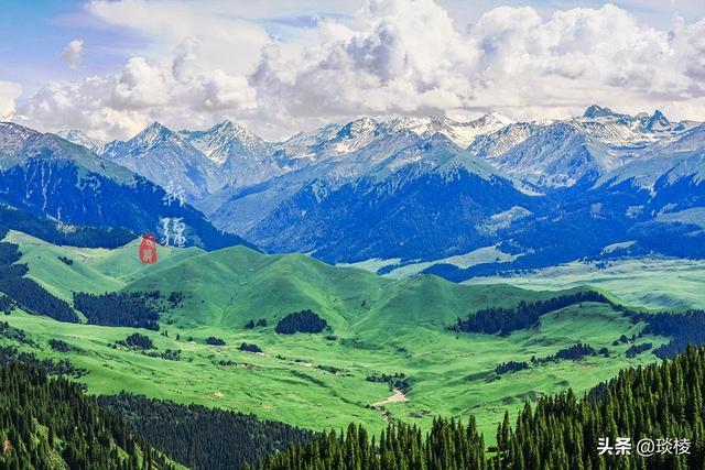 新疆有个最性感的“立体草原”，竟然比内蒙的草原还要美