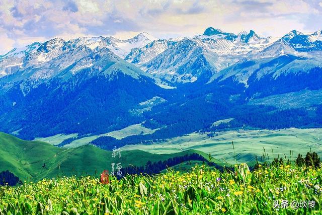 新疆有个最性感的“立体草原”，竟然比内蒙的草原还要美