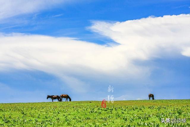 新疆有个最性感的“立体草原”，竟然比内蒙的草原还要美