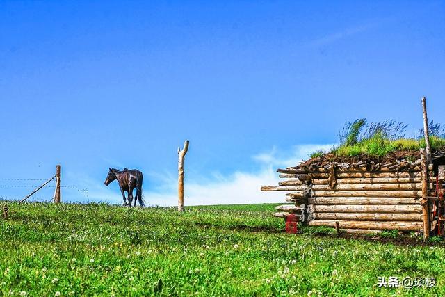 新疆有个最性感的“立体草原”，竟然比内蒙的草原还要美