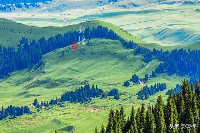 新疆有个最性感的“立体草原”，竟然比内蒙的草原还要美
