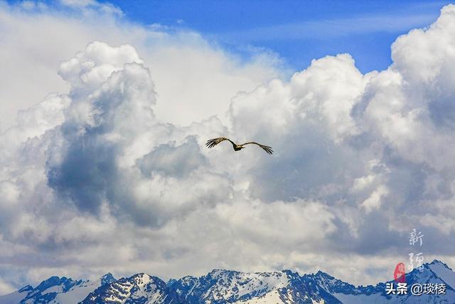 新疆有个最性感的“立体草原”，竟然比内蒙的草原还要美