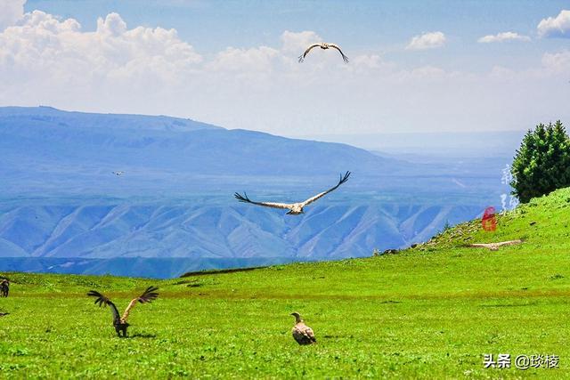 新疆有个最性感的“立体草原”，竟然比内蒙的草原还要美