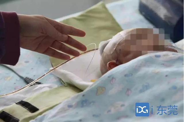 “高空掉苹果砸伤女婴”案宣判：肇事女孩监护人赔偿185万，物业无需担责