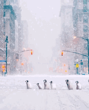 靠P图吸引130万粉丝？他的照片真的可以