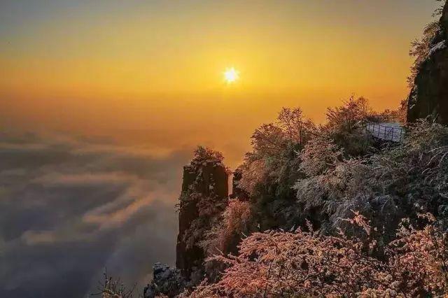 5年深入太行山600次，这个河南大叔拍出的照片让世人惊叹