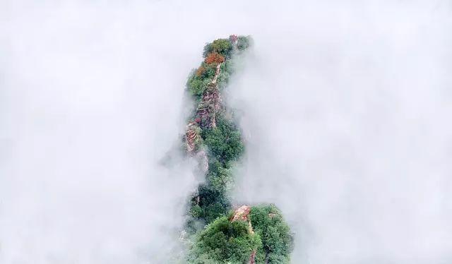 5年深入太行山600次，这个河南大叔拍出的照片让世人惊叹