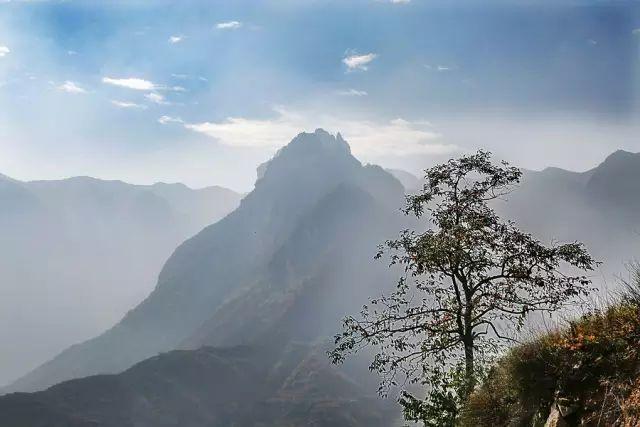 5年深入太行山600次，这个河南大叔拍出的照片让世人惊叹