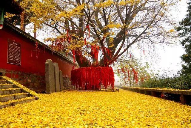 5年深入太行山600次，这个河南大叔拍出的照片让世人惊叹