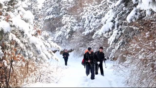 5年深入太行山600次，这个河南大叔拍出的照片让世人惊叹