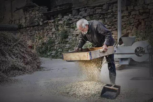 5年深入太行山600次，这个河南大叔拍出的照片让世人惊叹