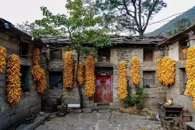 5年深入太行山600次，这个河南大叔拍出的照片让世人惊叹