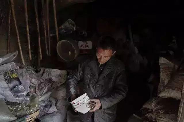 5年深入太行山600次，这个河南大叔拍出的照片让世人惊叹