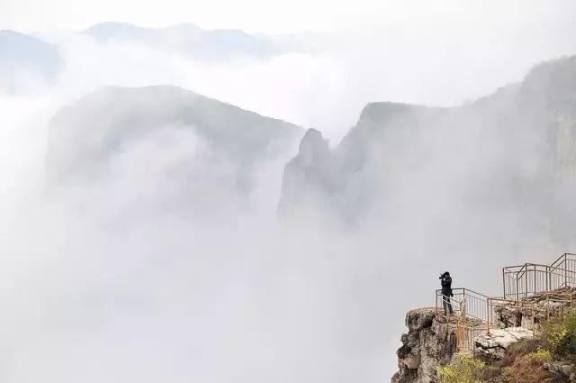 5年深入太行山600次，这个河南大叔拍出的照片让世人惊叹