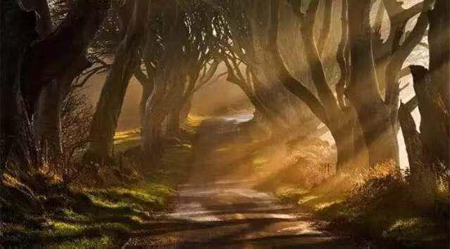 摄影添“光”潜规则：所谓随缘，都是谎言