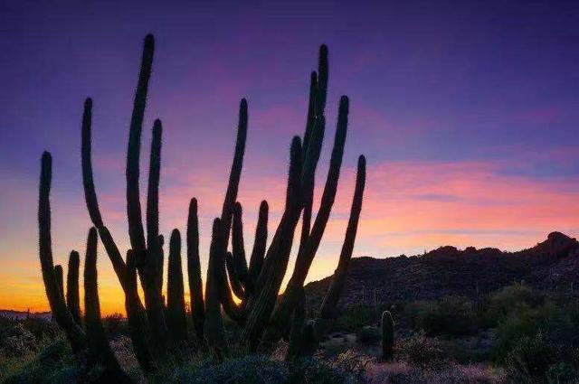 摄影添“光”潜规则：所谓随缘，都是谎言