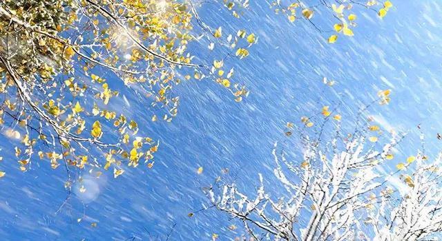 摄影添“光”潜规则：所谓随缘，都是谎言