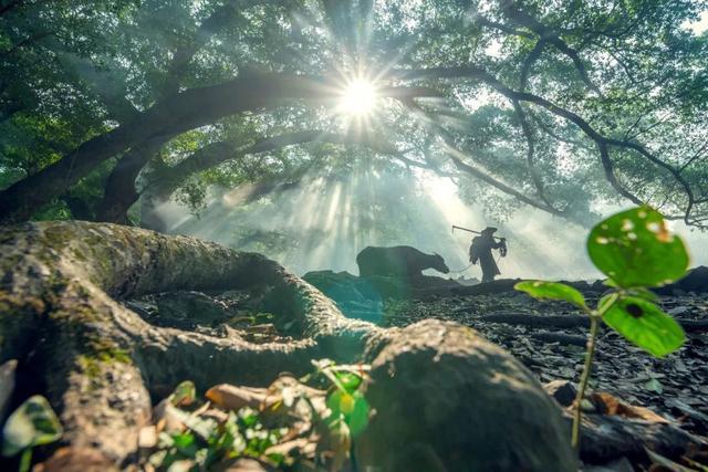 摄影添“光”潜规则：所谓随缘，都是谎言