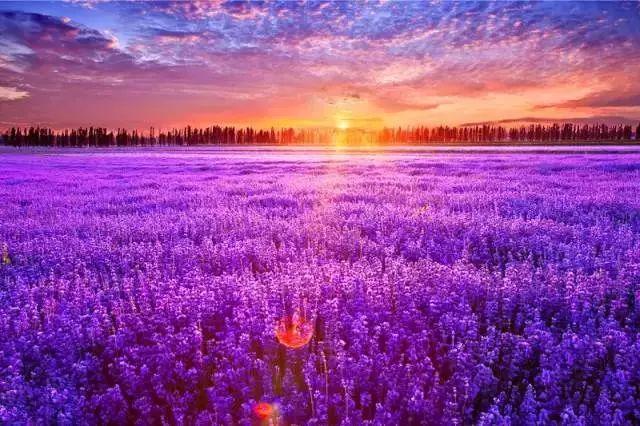 为什么去了一次伊犁，都得了相思病