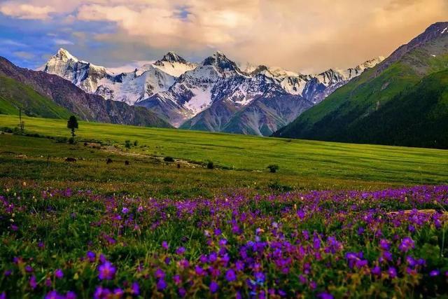 为什么去了一次伊犁，都得了相思病