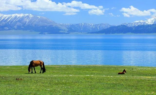 为什么去了一次伊犁，都得了相思病