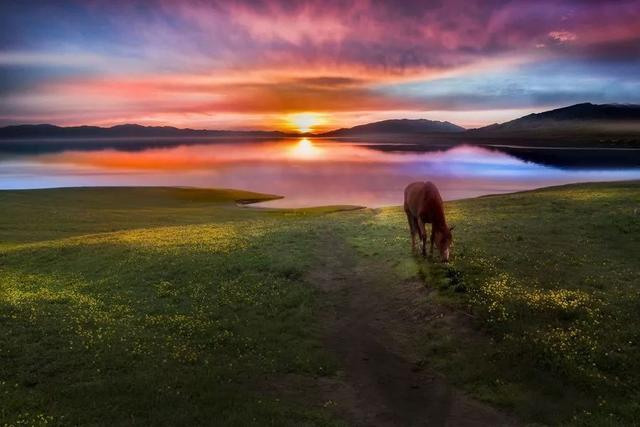 为什么去了一次伊犁，都得了相思病