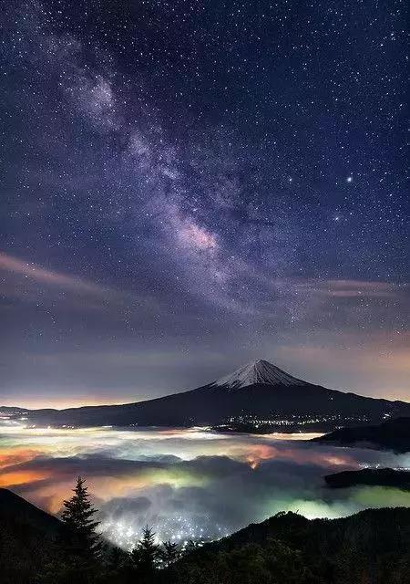 动物与自然难得一见的巧合之照