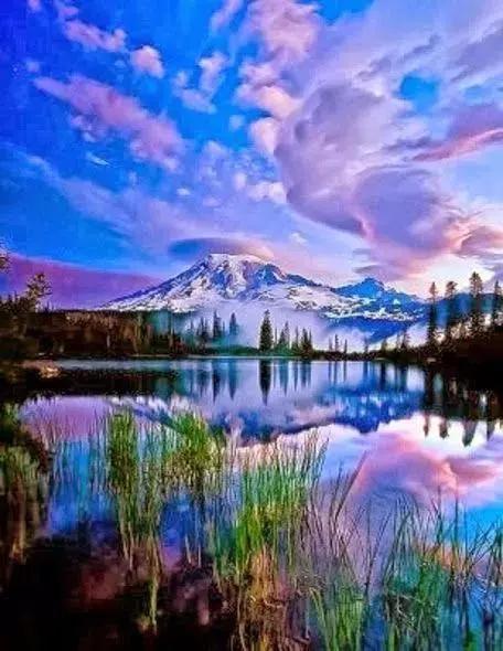 动物与自然难得一见的巧合之照