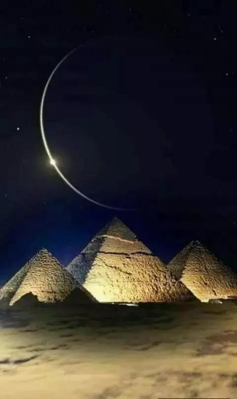 动物与自然难得一见的巧合之照